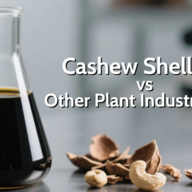 Cashew Shell Oil vs Other Plant Industrial Oils (Jatropha, Castor, Palm Pitch)