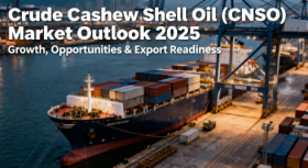 Crude Cashew Shell Oil Market 2025 – Rising Global Demand and Sustainable Applications