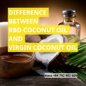 DIFFERENCE BETWEEN REFINED COCONUT OIL AND VIRGIN COCONUT OIL