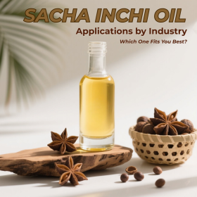 Sacha Inchi Oil Applications by Industry – Which One Fits You Best?