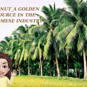 THE POTENTIAL OF THE COCONUT: A GOLDEN RESOURCE IN THE VIETNAMESE INDUSTRY THE POTENTIAL OF THE COCONUT: A GOLDEN RESOURCE IN THE VIETNAMESE INDUSTRY