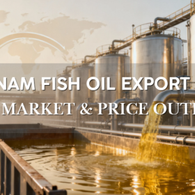 Vietnam Fish Oil Export 2025 – Full Market & Price Outlook